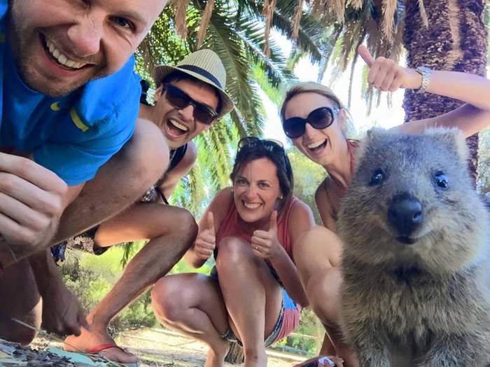 Который справа, всех больше обкурился.