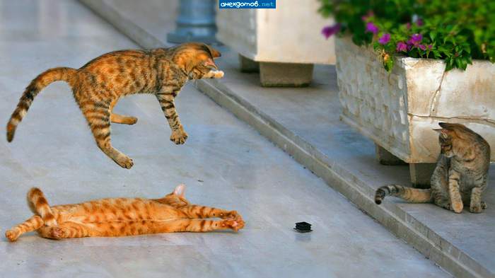 Сборная России. Малый состав.