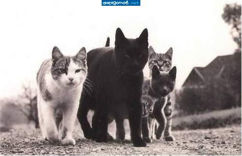 Пацан,ты с какого района?