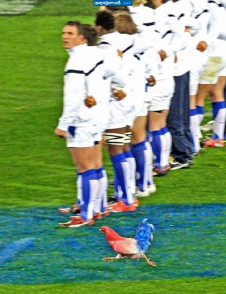 уберите динамовского болельшика с поля!!!