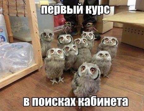 подпись на фотке самая удачная!