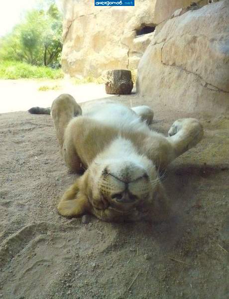 Ну где же он, я уже такая, какая ему надо.