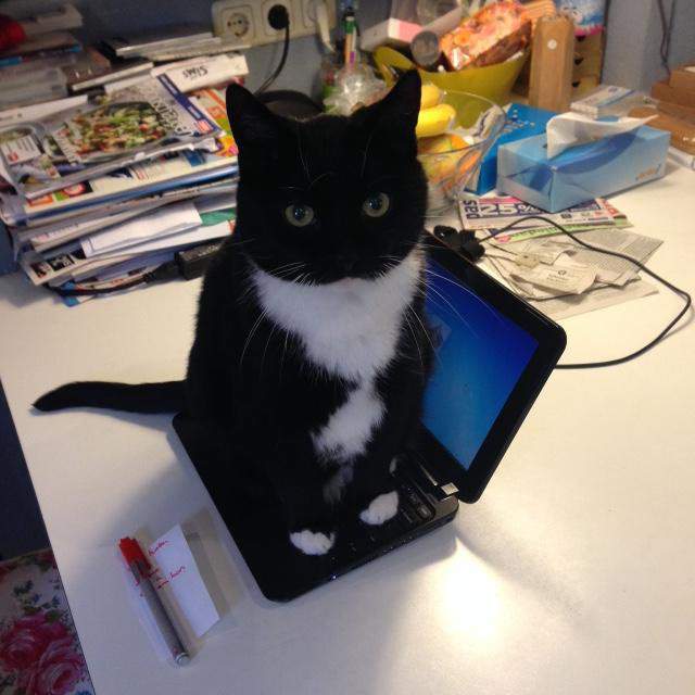 Windоws заблокирован, для разблокировки хлопните дверью холодильника.