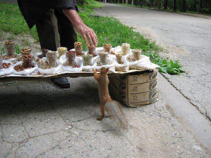 Беру всё!
