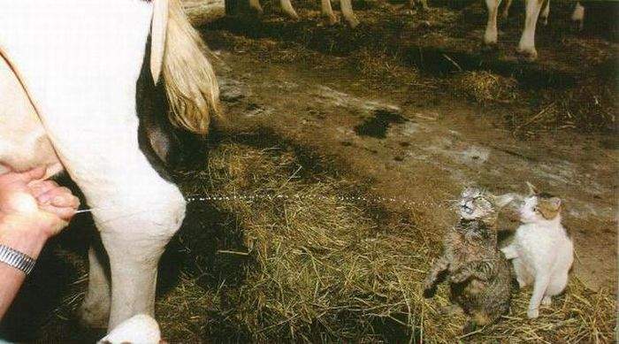 Пить будешь?.. Хорошо бы пива.