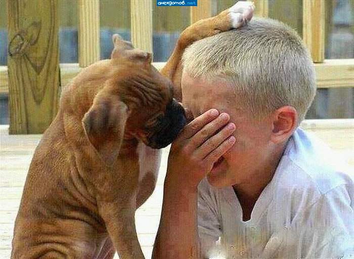 Не скули щенок, а то вожаком не станешь...