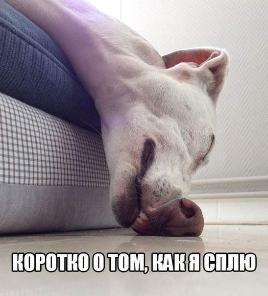 Так вот как выглядит - нос воротить!!!