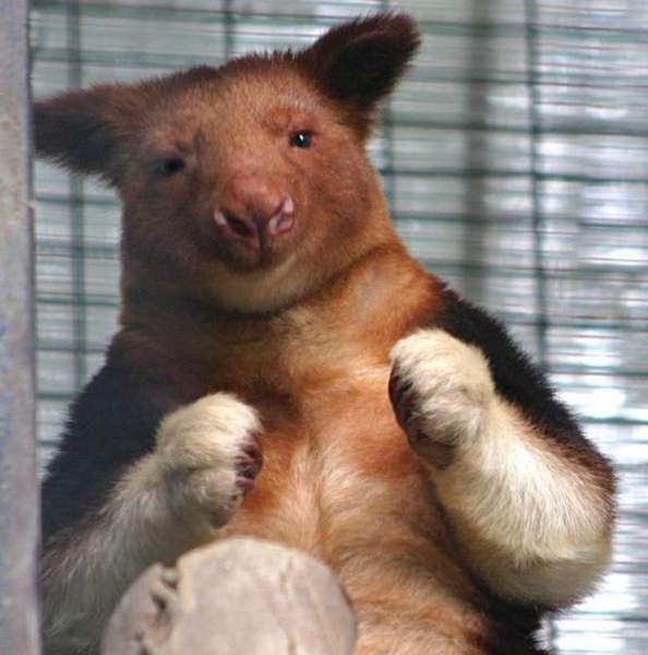 В пятак хочешь?