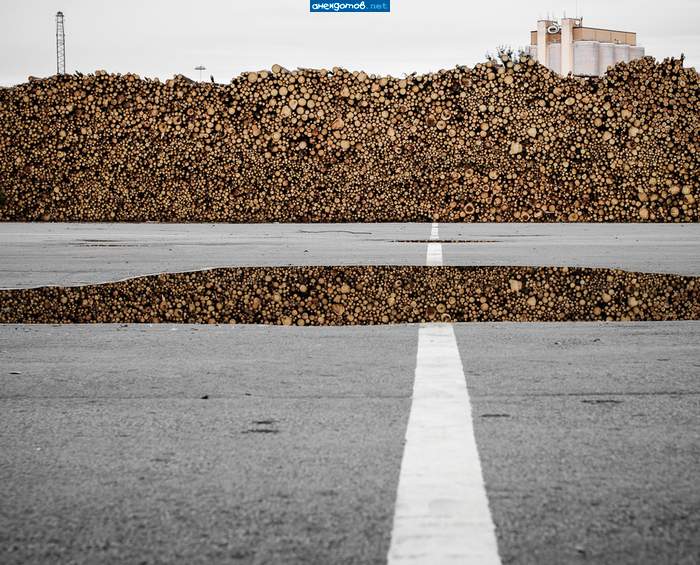 На дворе трава,на траве -дрова. На дороге в луже те дрова не хуже....