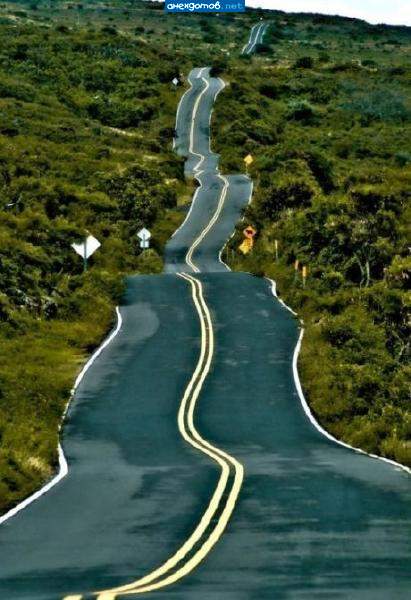 Желтая двойная сплошная - штаты