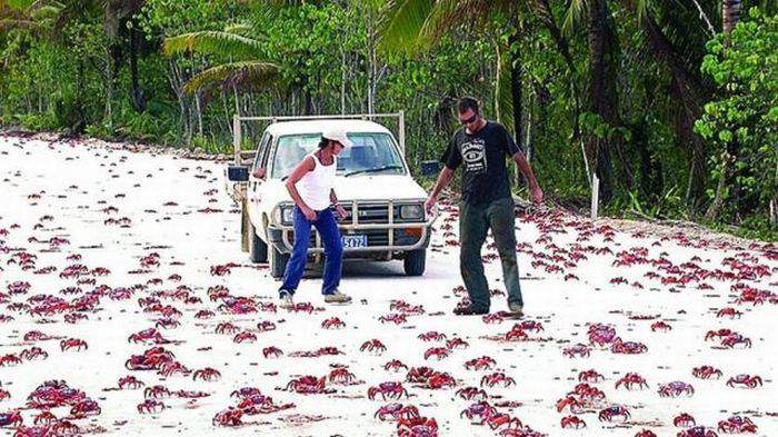 Колян!!! Раки есть, осталось только прилив пива дождаться!!!