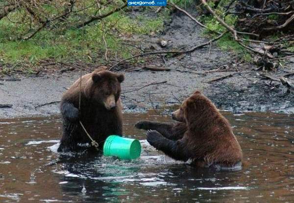 Мужик! Вылезай из-под воды! А то хуже будет!