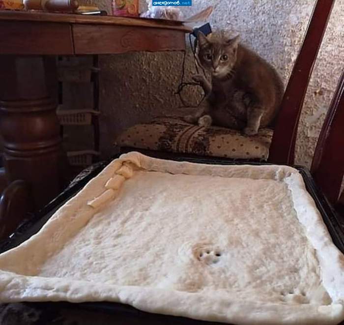 Фарш сбежал