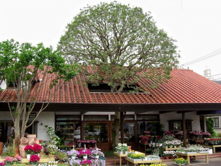 Дом высокой экологической культур-мультур