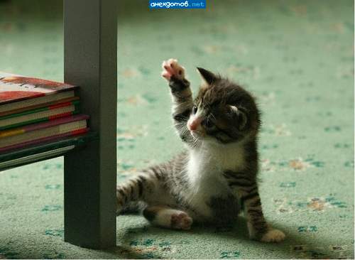 долой книги да здравствует улица