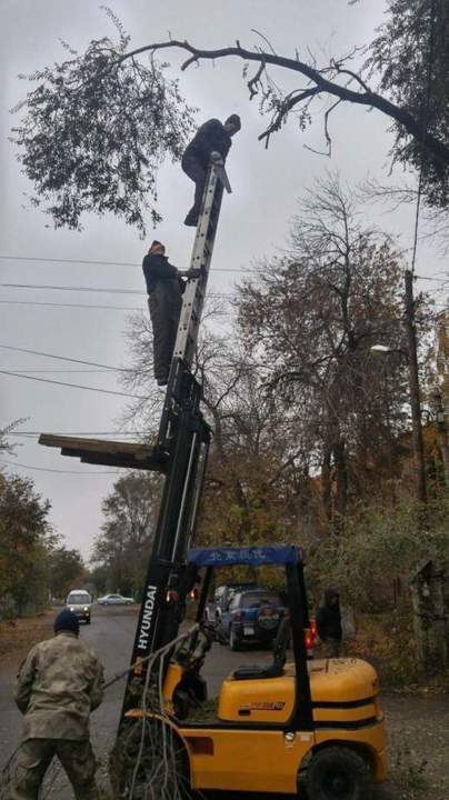 Это не шнобелевка это - премия Дарвина