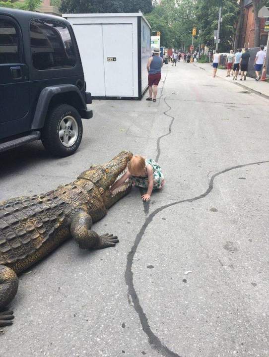 Маша уже и крокодила достала...