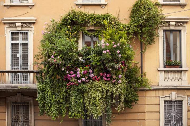 А здесь живет Семирамида.