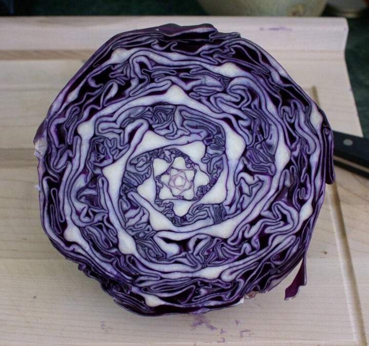 Спираль Фибоначчи для кухарки.