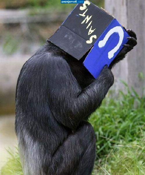 Где я? Кто тут? Включите свет!!!