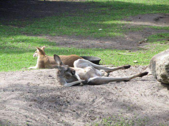 Михалыч, зря мы того колдуна на ЙУХ послали...