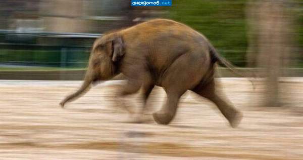 Вы так же бежите в туалет, ког да уже вот, вот:-D