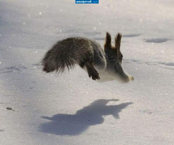 Тююююююююююю да тут все трезвые!я поскакала дальше