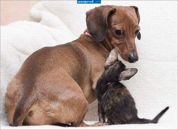 А Вы точно не моя мама?