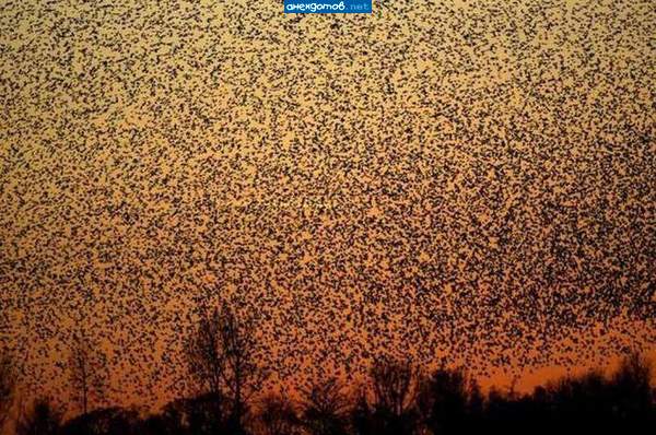 такой движняк и ни одного ДТП!!!