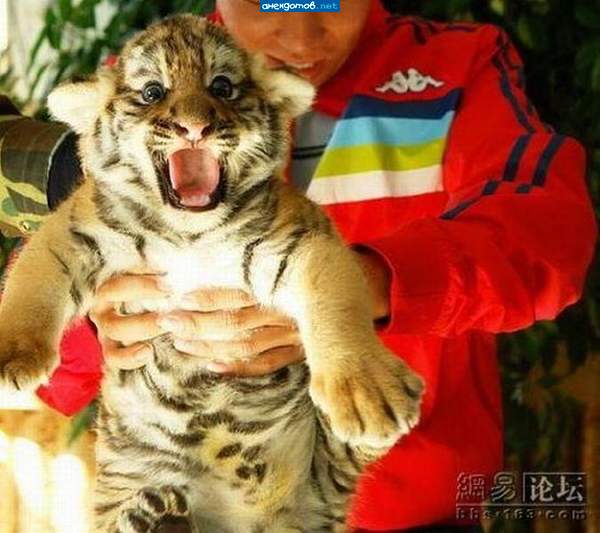 Йа боюсь щекотки!!!