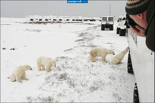 Говорил я тебе - не надо лизать железные борта снегохода... )))