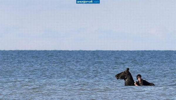 А Петька доплыл