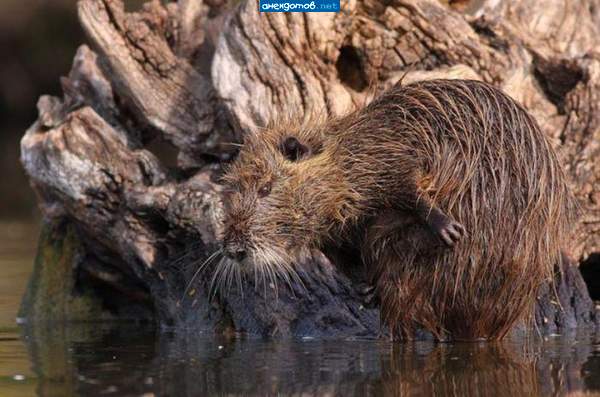 ну потрите мне спинку, ну пжалста, ну что вам трудно чтоли
