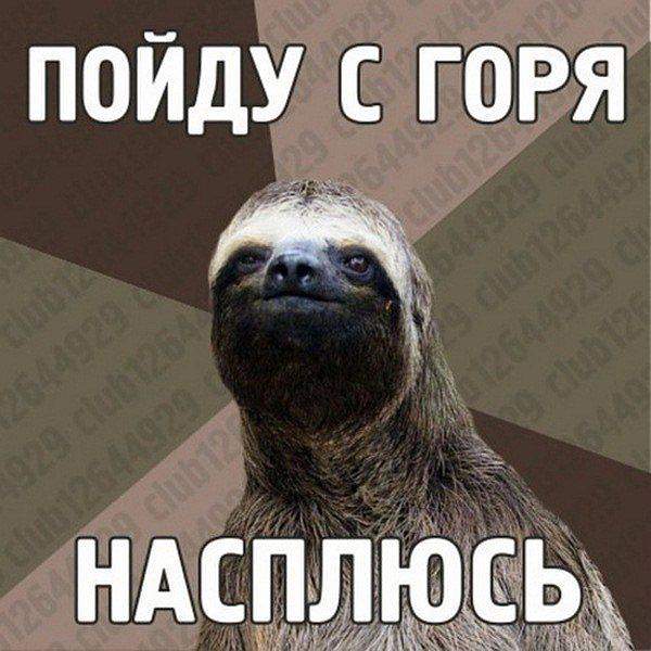 с горя насплюсь, потом с просонья погорюю... а чё ещё с такой мордой остается..