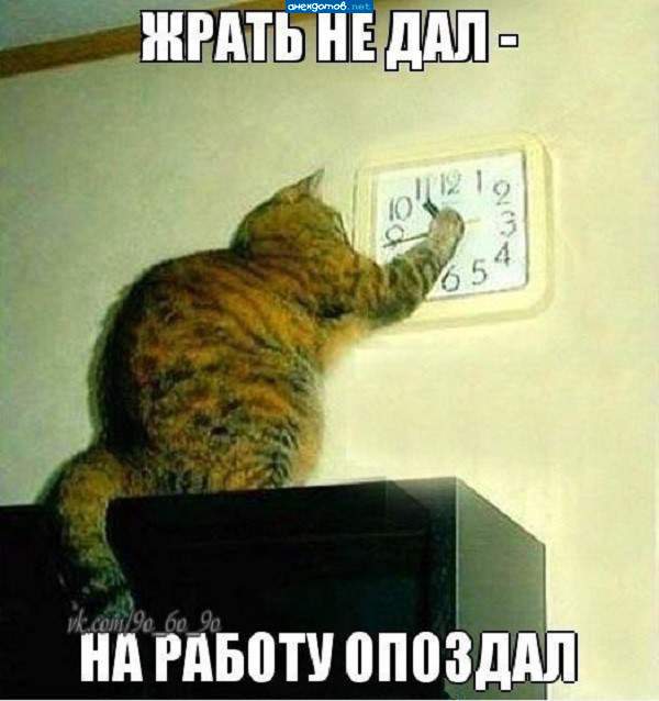 Остановись мгновенье!!! Жизнь прекрасна!!!