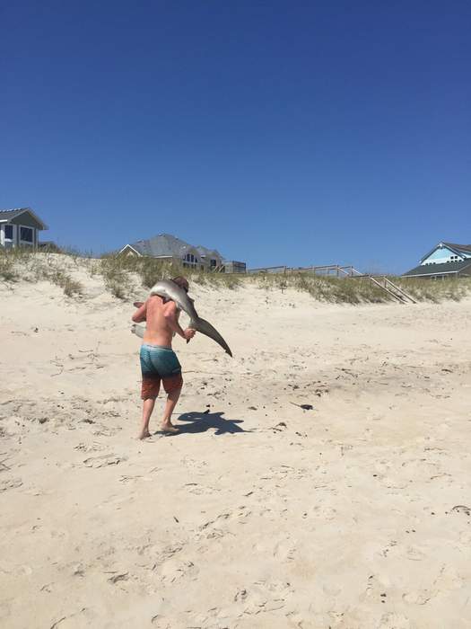 И в тёмный лес ягнёнка поволок!