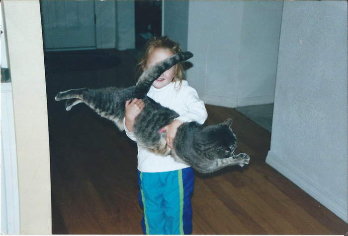 Кота на скаку остановит...