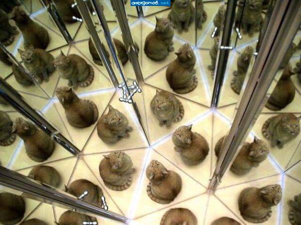 Котейдоскоп