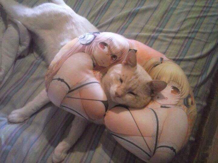 Киськи любят сиськи