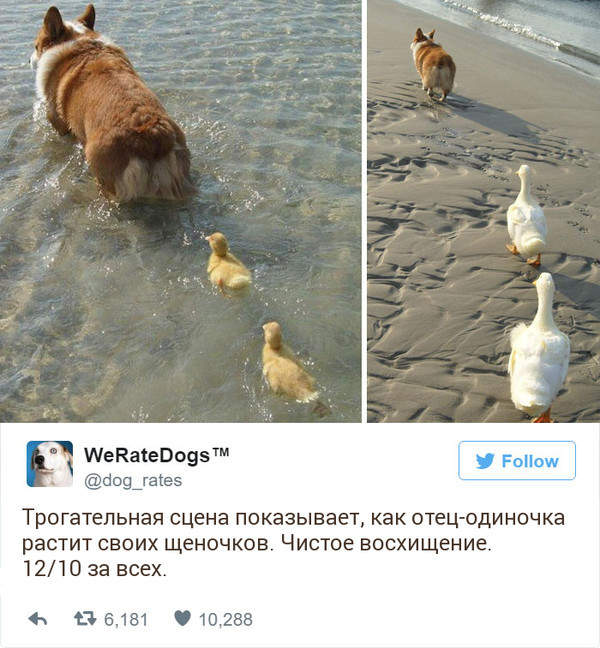 Они выросли - но родителя не бросили - дети учитесь!!!!