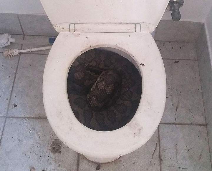 Что-то мне перехотелость...