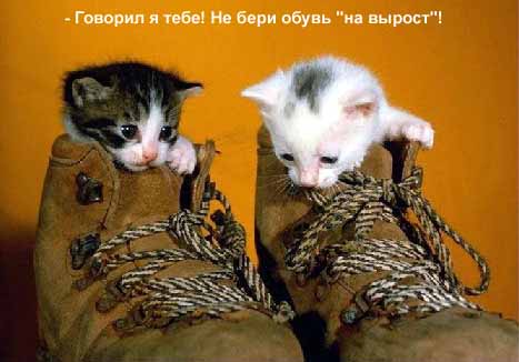 -у тебя шнурок раззязался..