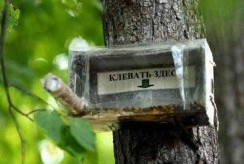 Это для птичек, умеющих читать