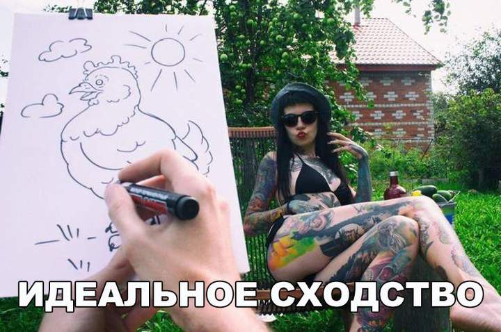 дура обыкновенная, 1шт.