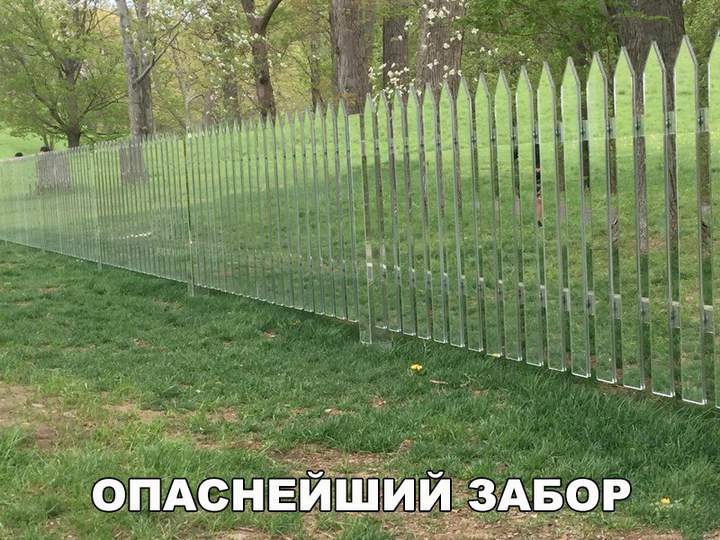 У этого фото-юбилей!В десятый раз поставлено!