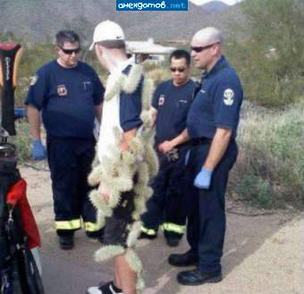 А это заразно?