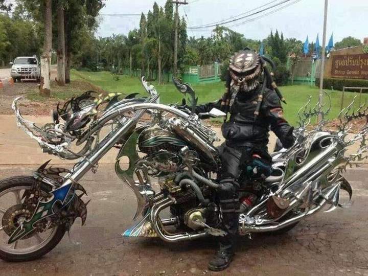 Дурдом плачет
