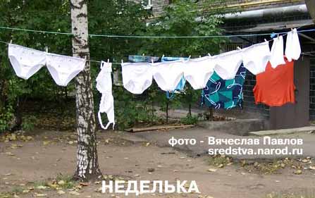 Белоснежка и 7 гномов