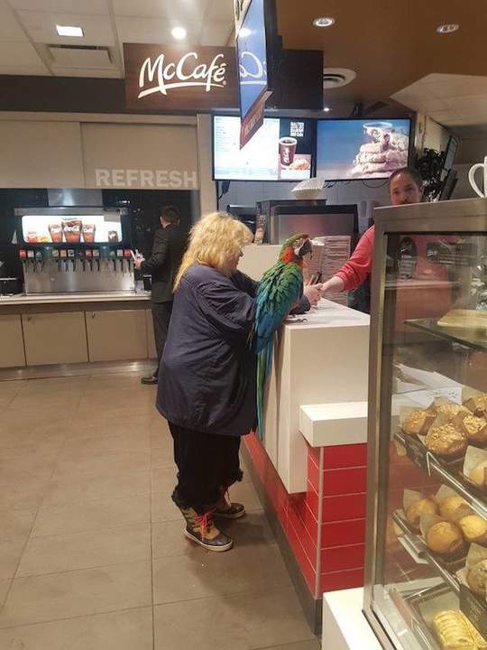 Пугачева с Галкиным...