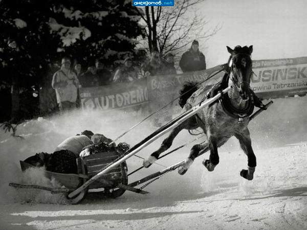 сочи 2014... слалом